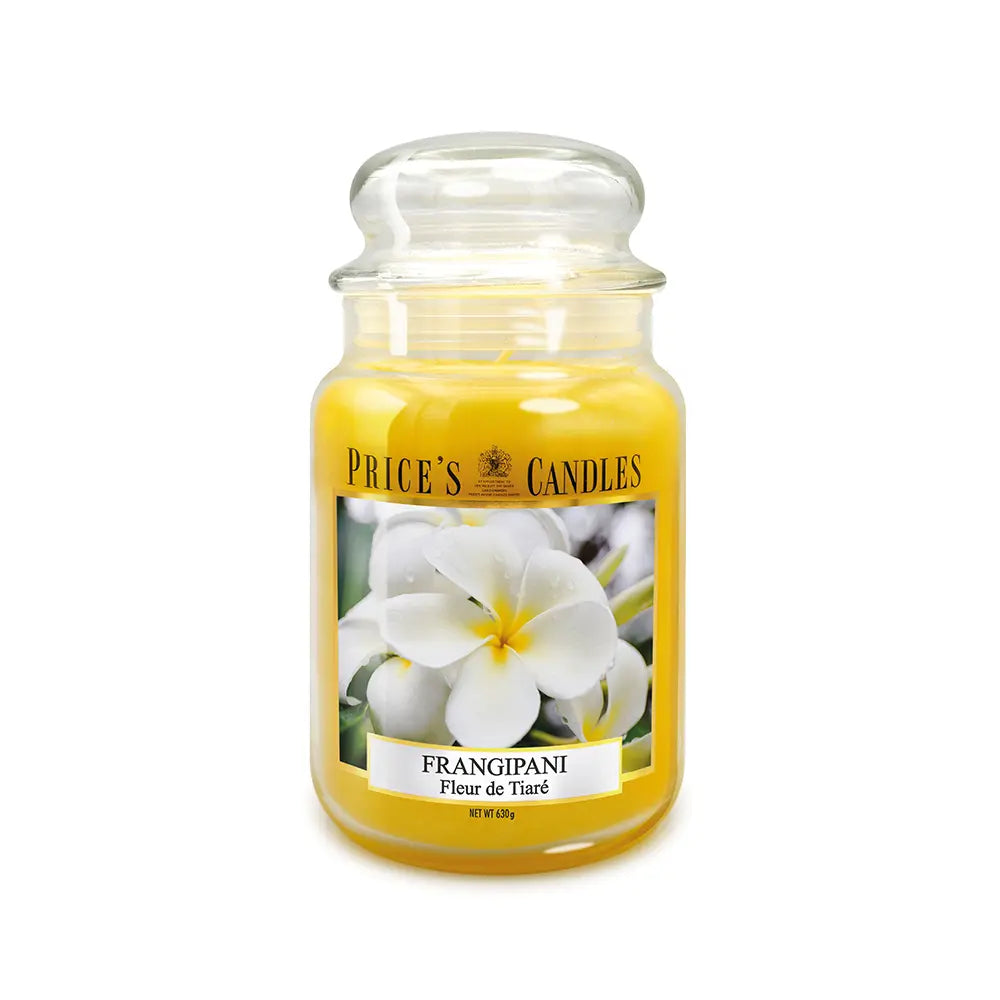 Candela in Giara Grande Frangipani