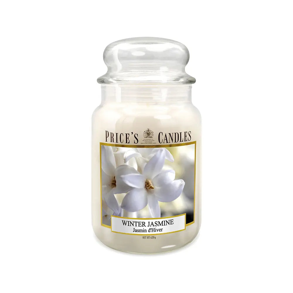 Candela in Giara Grande Winter Jasmine Gelsomino