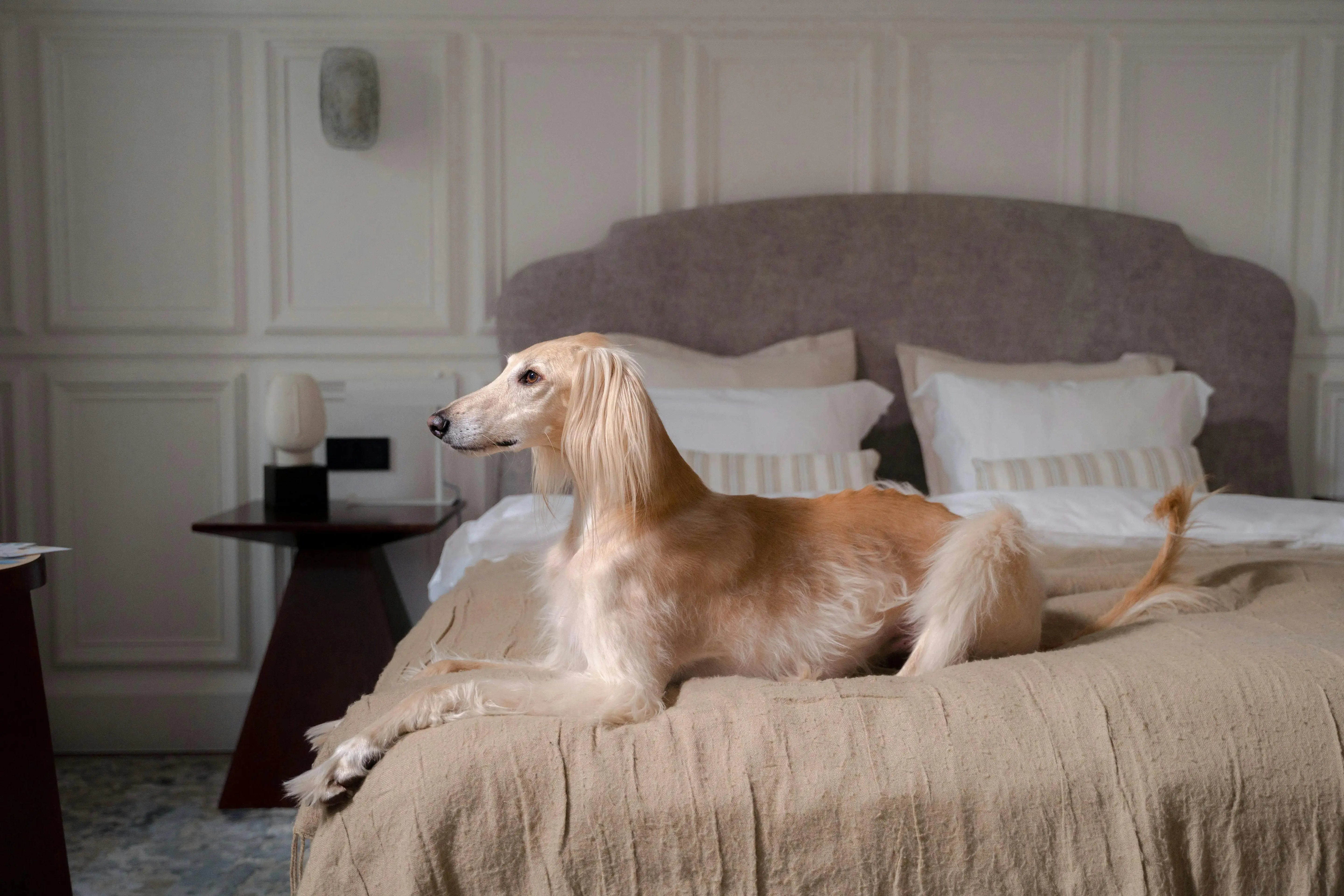 Candela Fresh Air Household Pet elimina odori di Price's Candles